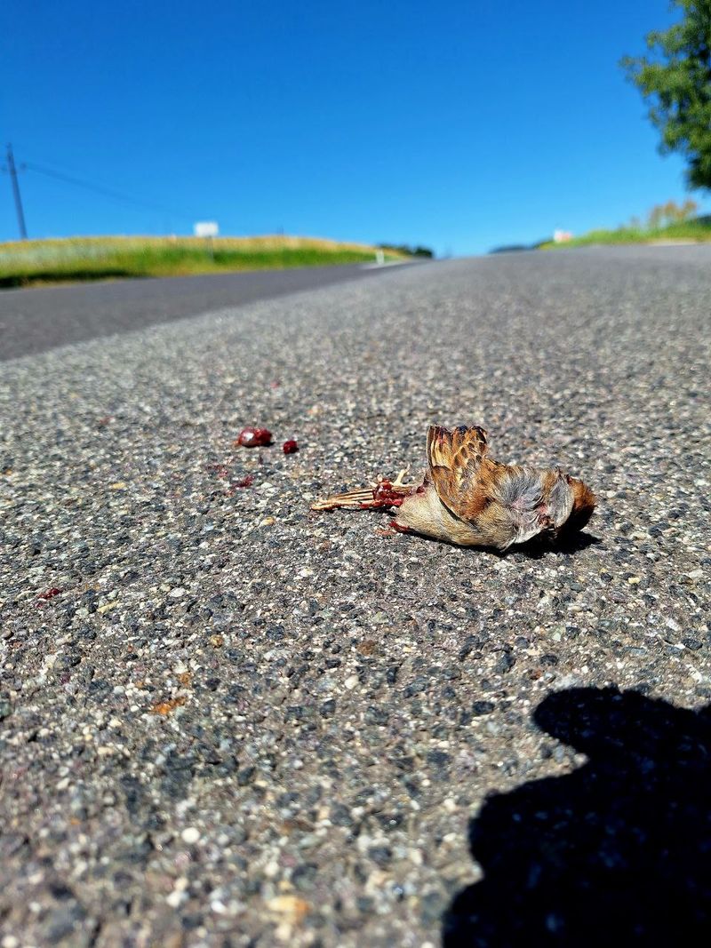 Foto: photo_2025-09-12_12-00-46.jpg