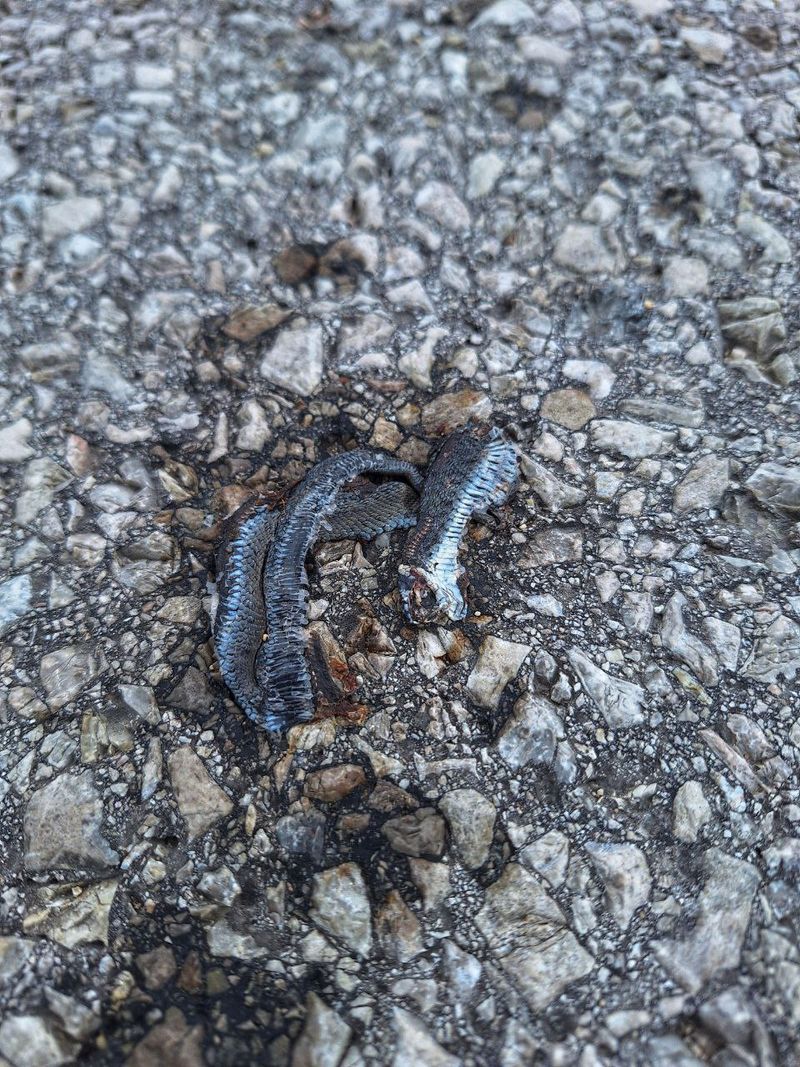 Foto: photo_2025-09-12_12-01-03.jpg