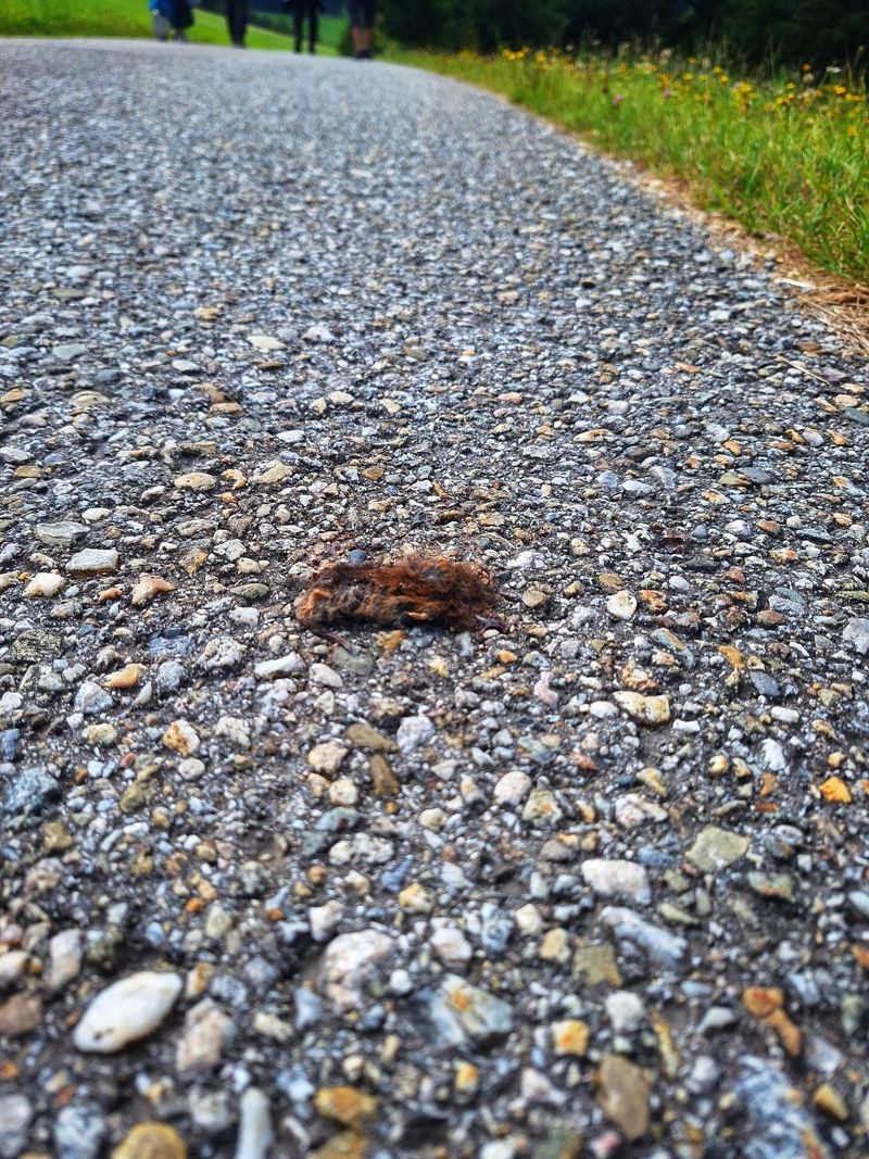 Foto: photo_2025-09-12_12-01-10.jpg