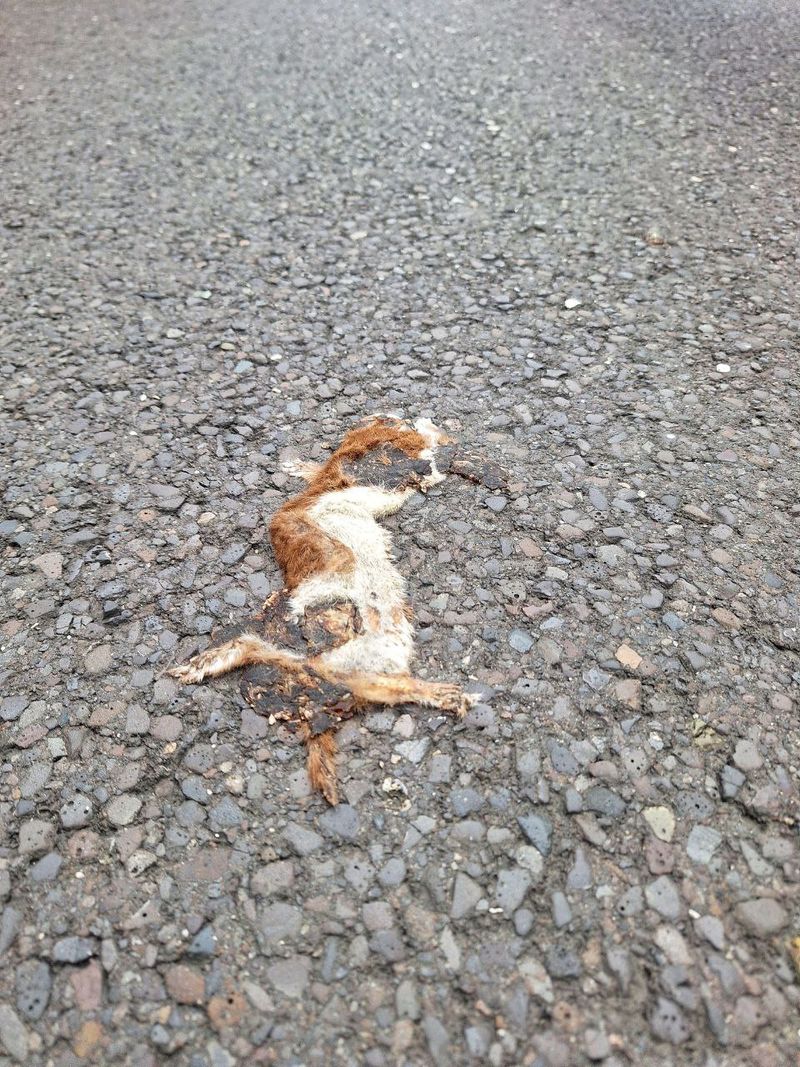 Foto: photo_2025-09-12_12-01-08.jpg