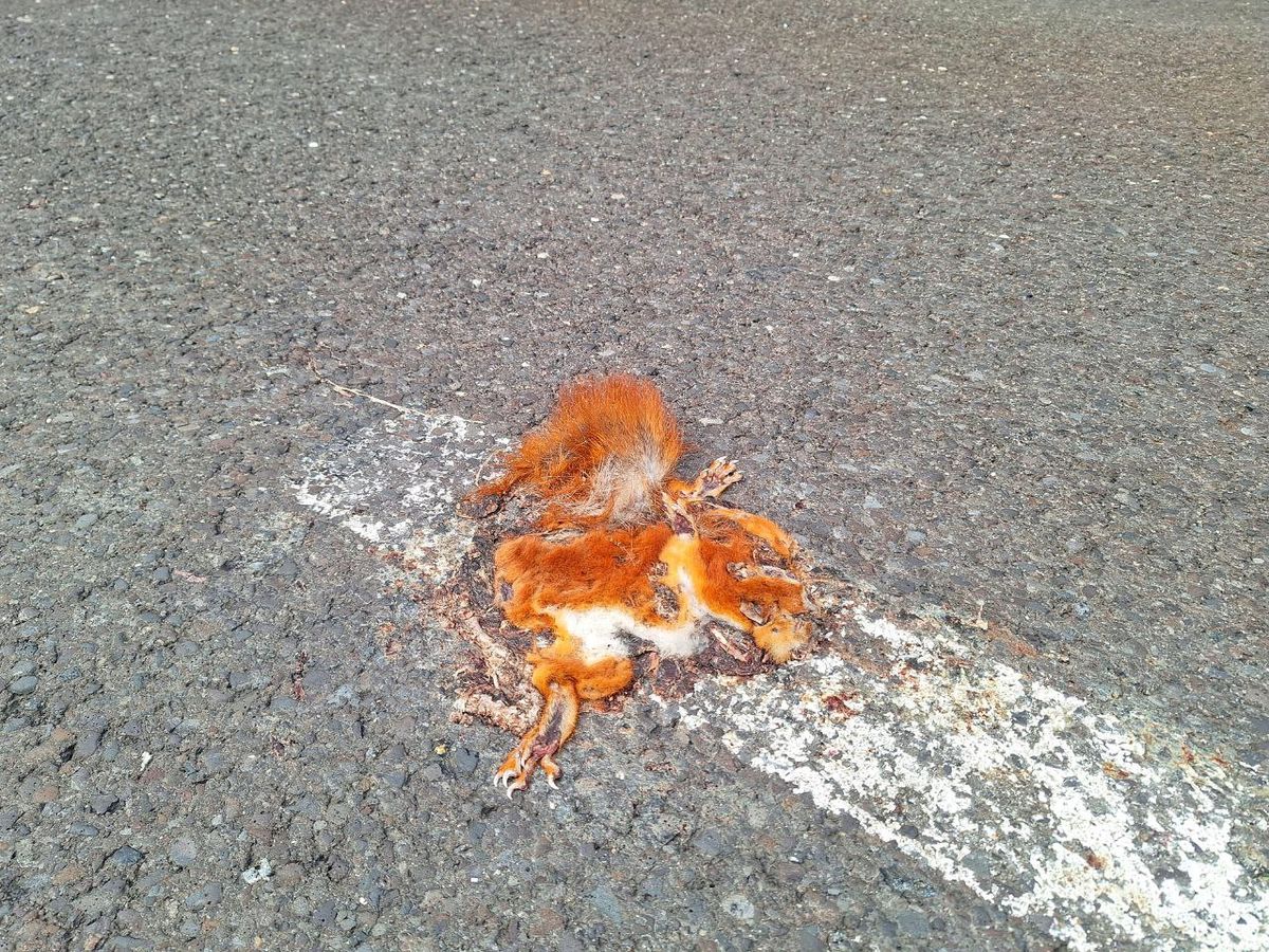 Foto: photo_2025-09-12_12-00-58.jpg