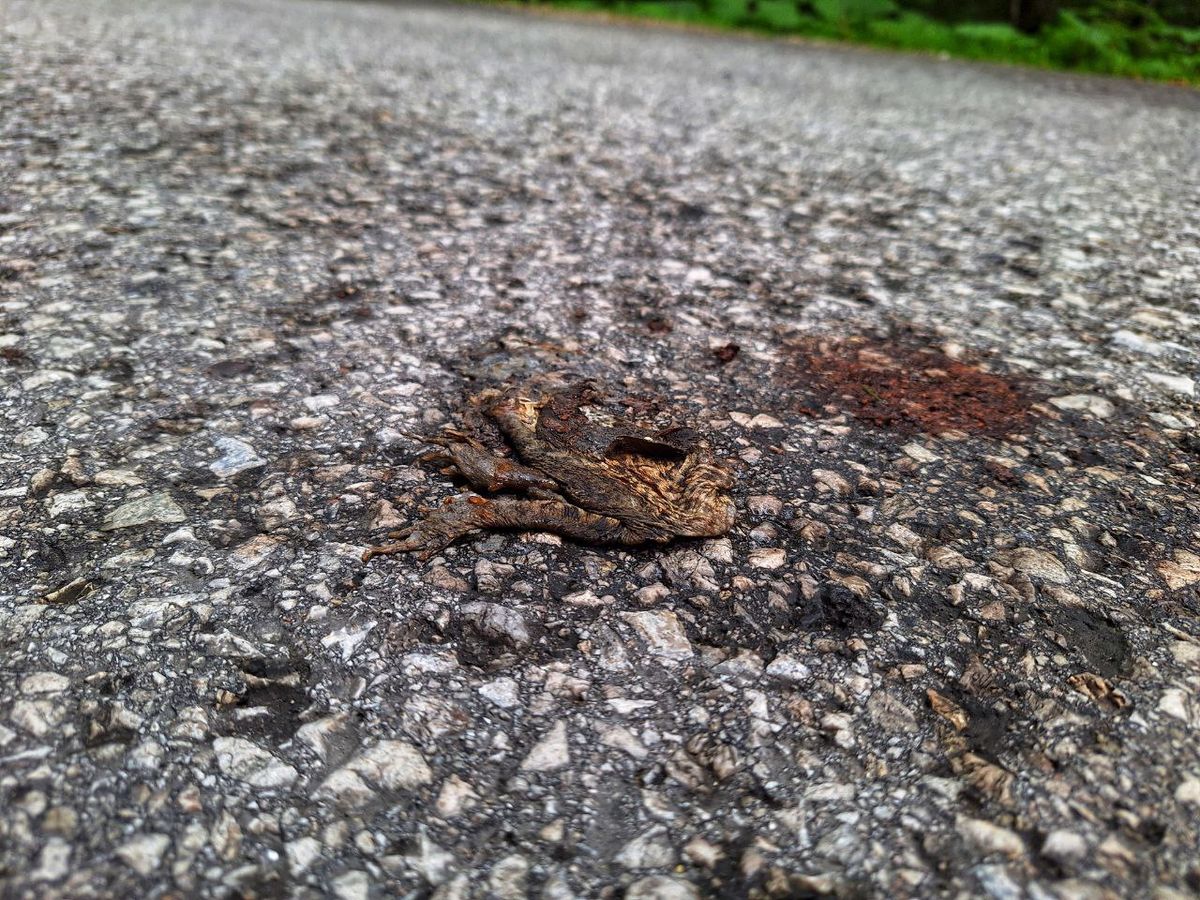 Foto: photo_2025-09-12_12-01-07.jpg