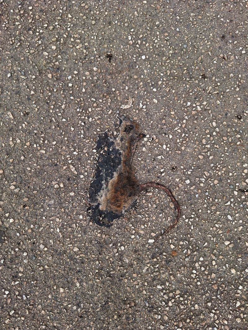 Foto: photo_2025-09-12_12-00-47.jpg