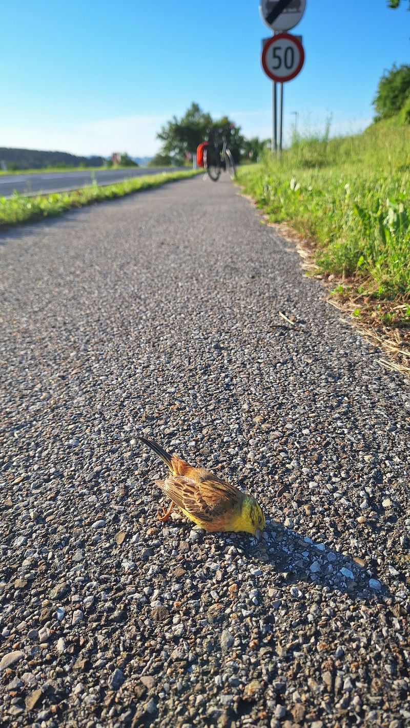 Foto vom 8. Juni 2026, 6:43 Uhr