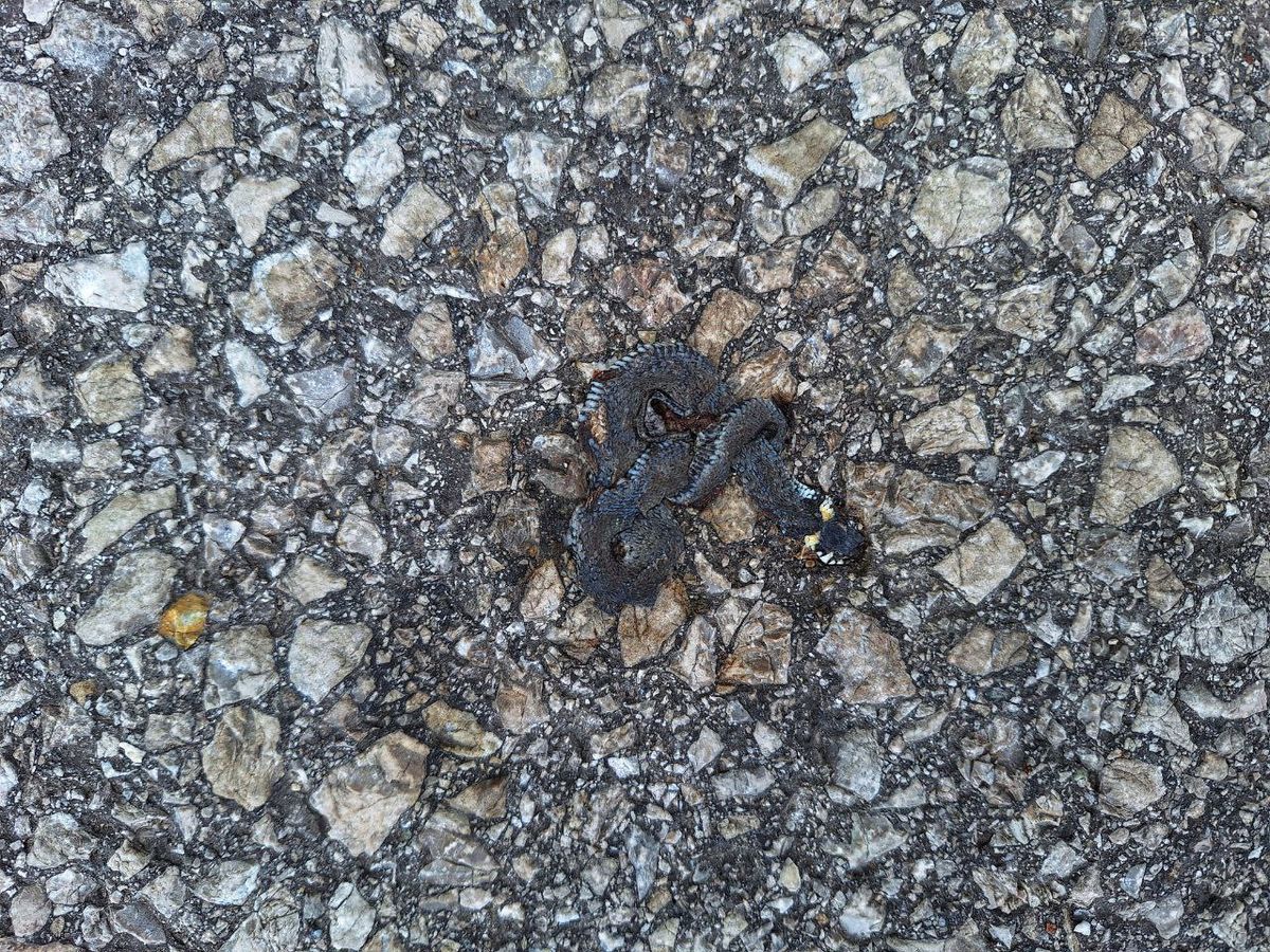 Foto: photo_2025-09-12_12-01-04.jpg