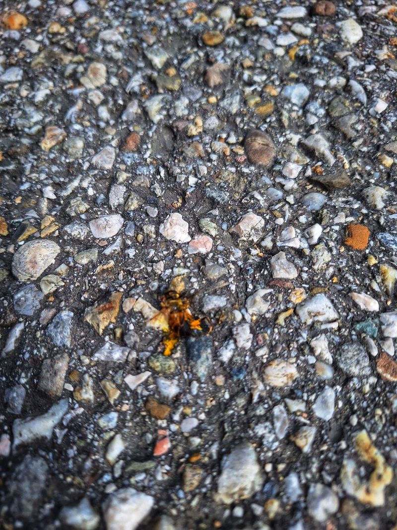 Foto: photo_2025-09-12_12-01-11.jpg