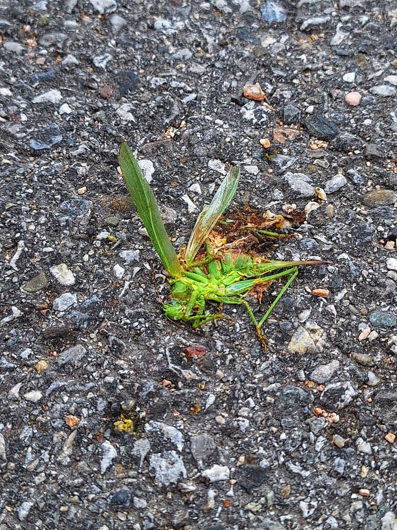 Foto: photo_2025-09-12_12-00-57.jpg