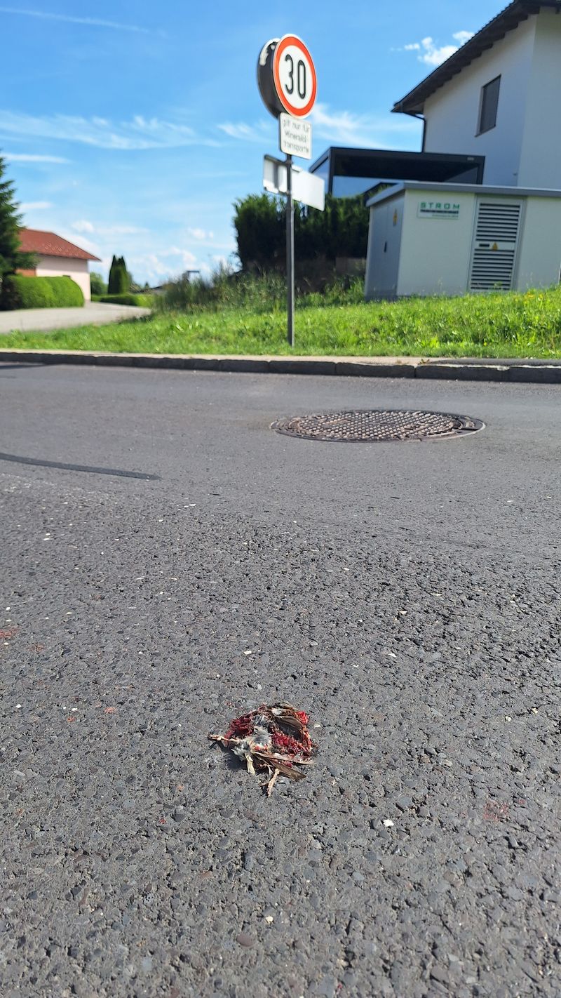 Foto vom 8. Juni 2026, 16:27 Uhr