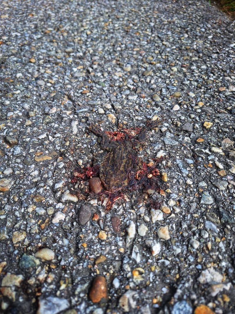 Foto: photo_2025-09-12_12-01-09.jpg