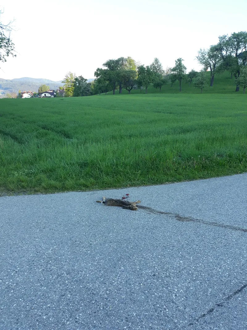 Photo from 07.08.2025 12:49
