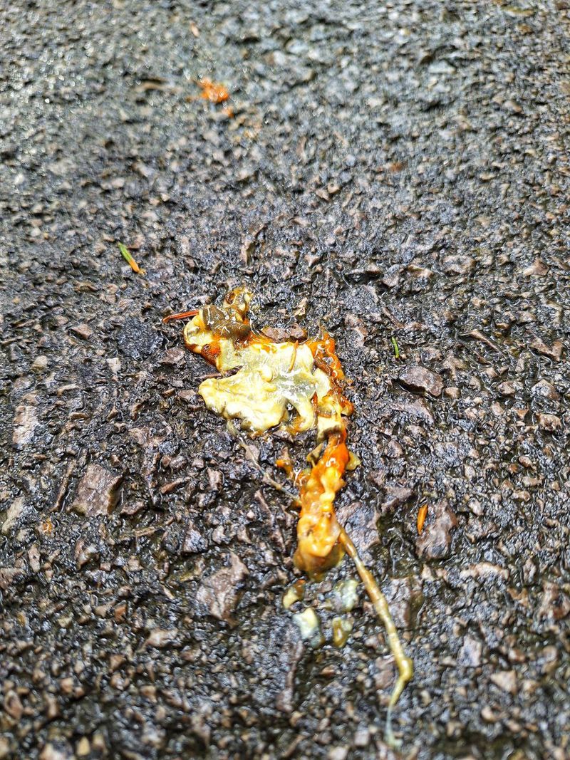 Foto: photo_2025-09-12_12-01-06.jpg