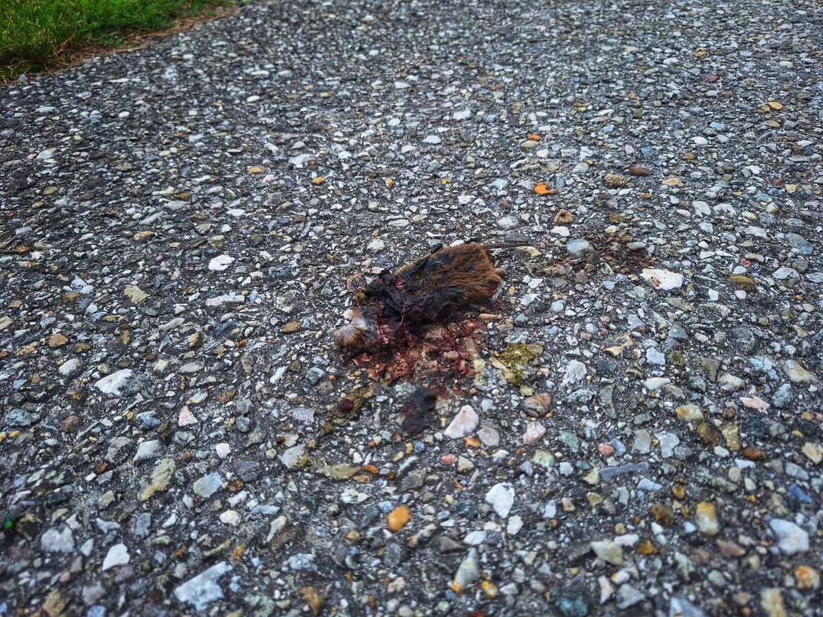 Foto: photo_2025-09-12_12-00-50.jpg